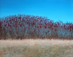 Sumac Trees, Ben Marxen